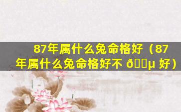 87年属什么兔命格好（87年属什么兔命格好不 🐵 好）